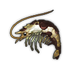 Oily Shrimp.png