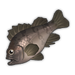 Red Rockfish.png