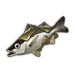 Sucker Perch.png