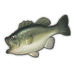 Largemouth Bass