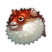 Hot Blowfish.png
