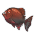Crimson Piranha