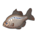 Bitterling.png