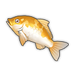 Golden Koi.png