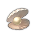 Pearl Oyster.png