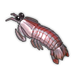 Striped Mantis Shrimp.png