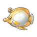 Freshwater Bream.png