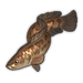 Northern Snakehead.png