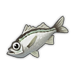 Silver Perch.png