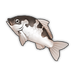 Dalmatian Koi.png
