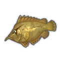 Leaf Fish.png