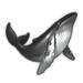 Humpback Whale.png