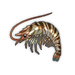 Tiger Prawn.png