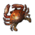 Toasty Crab