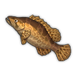 Cherry Salmon.png