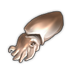 Cuttlefish.png
