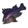 Purple Rockfish.png