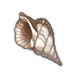Triton's Trumpet.png