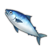 Mackerel.png
