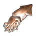Squid.png