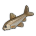 Minnow.png