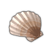 Yesso Scallop.png