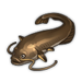 Catfish.png