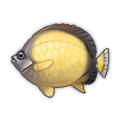 Sunny Butterflyfish.png