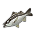 Saw-Edged Perch.png