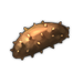Sea Cucumber.png