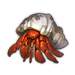 Hermit Crab.png