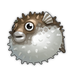 Porcupinefish.png