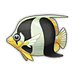 Zebra Bream.png