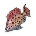 Red-Hot Grouper.png