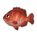 Red Big Eye.png