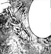 The Gate of Training chain in the manga.