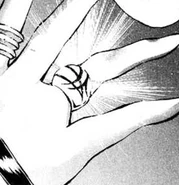 The Grand Boulder ring