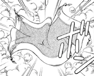 Flying Carpet in the manga.