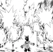 Flare Wheel in the manga.