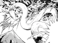 Gymnote in the manga.