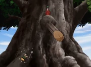 Vidar toys with Jack