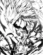 Phoenix in the manga.