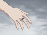 Pleine Lune's unknown Guardian ÄRM (Inactive)