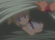 Chaton finding Loco as a baby again.