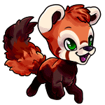 Red Panda