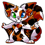 Calico