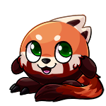 Red Panda