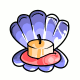 Clam Shell Candle