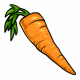 Organic Carrot