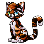 Calico